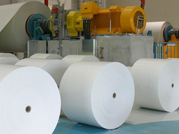 Pulp and Paper Mills